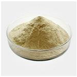 Soybean Lecithin