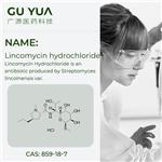 Lincomycin hydrochloride