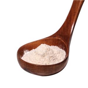 CARBOXYMETHYLCELLULOSE SODIUM SALT