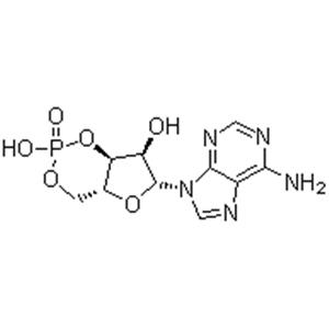 Cyclic AMP