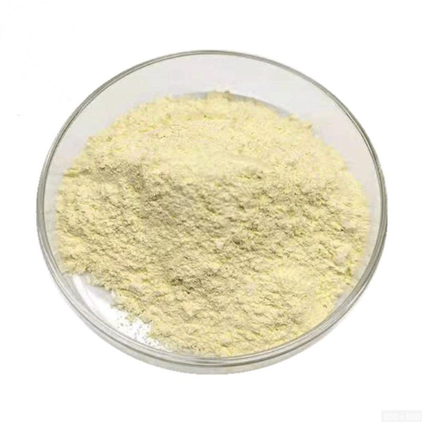 Calcium phosphate tribasic