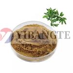 ARNICA MONTANA FLOWER EXTRACT