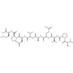 V-9-M cholecystokinin nonapeptide