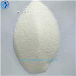 SODIUM ETHYL 4-HYDROXYBENZOATE