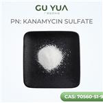 KANAMYCIN SULFATE