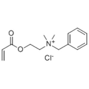 METHACRYLOYL OXYETHYL DIMETHYLBENZYL AMMONIUM CHLORIDE