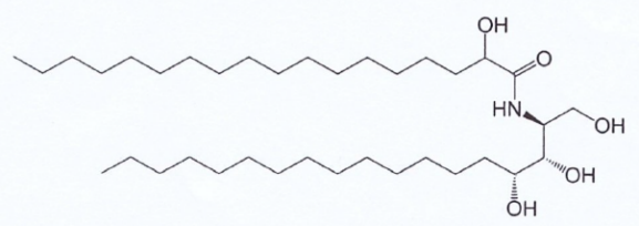Water soluble Ceramide VI
