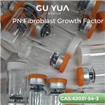 Fibroblast Growth Factor