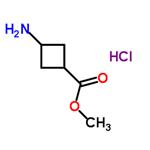 methyl trans-3-amino-cyclobutanecarboxylate hydrochloride