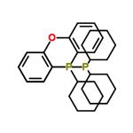 (Oxydi-2,1-phenylene)bis(dicyclohexylphosphine)