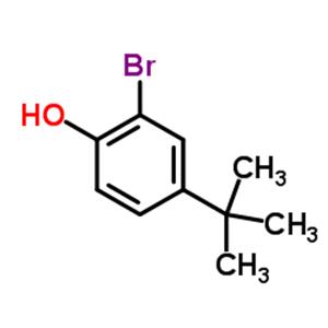 2-Bromo-4-tert-butylphenol