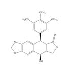 Podophyllotoxin pictures