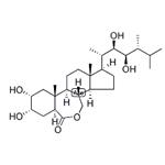 Epibrassinolide pictures