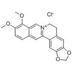 633-65-8 Berberine hydrochloride
