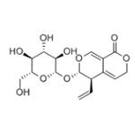 Gentiopicroside pictures