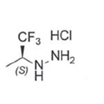 (S)-(1,1,1-trifluoropropan-2-yl) hydrazine hydrochloride