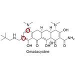 Omadacycline Tosylate