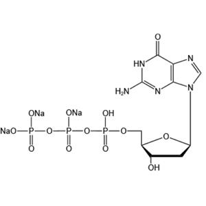 2'-Deoxyguanosine 5'-triphosphate trisodium salt (dGTP-Na3)