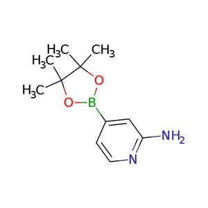 2-Aminopyridine-4-boronic acid, pinacol ester