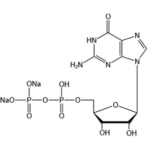 Guanosine 5’-diphosphate disodium salt（GDP-Na2）