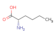 2-Aminohexanoic acid