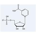 β-Nicotinamide Mononucleotide（NMN）