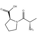 L-Ala-Pro-OH pictures