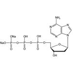 2'-Deoxyadenosine-5'-triphosphate disodium salt (dATP-Na2)  pictures