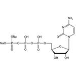 Cytidine 5’-triphosphate disodium salt（CTP-Na2） pictures