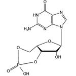 Guanosine 3', 5'-cyclic-monophosphate (сGMP) pictures