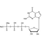 Guanosine-5’-triphosphate disodium salt（GTP-Na2）