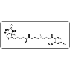 Photobiotin