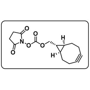 exo-BCN-NHS ester
