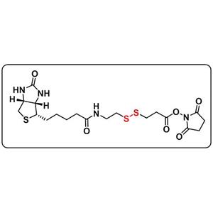 Biotin-SS-NHS ester