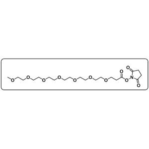 m-PEG7-NHS ester