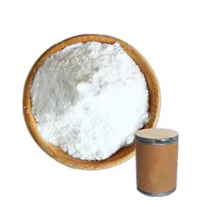 Creatine Monohydrate Powder