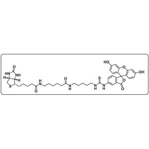 5-FITC Biotin