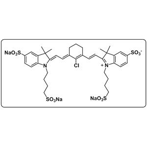 S 0456-Bio-X