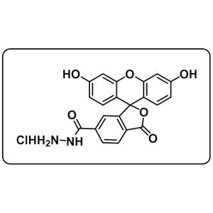 FAM hydrazide,6-isomer