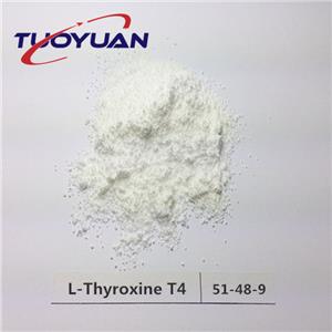 L-Thyroxine 