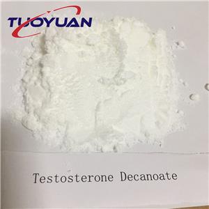 Testosterone Decanoate