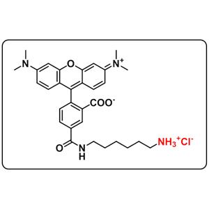 5-TAMRA amine