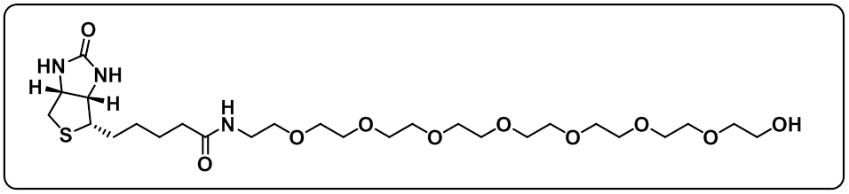 Biotin-PEG8-OH