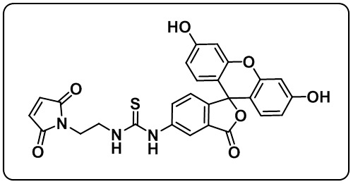 5-FITC-Maleimide