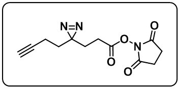 Alkyne-Diazirine-NHS ester
