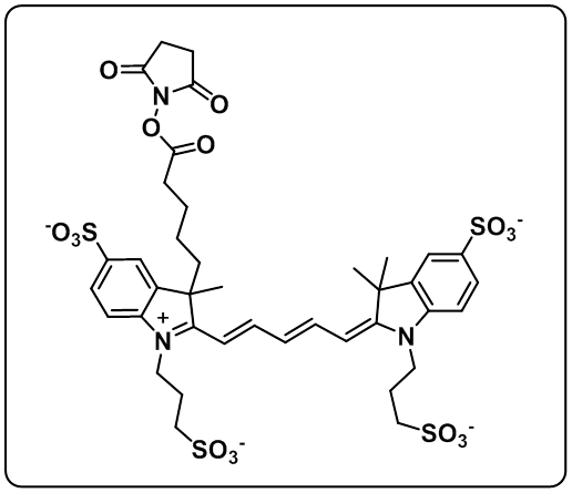 AF 647 NHS ester