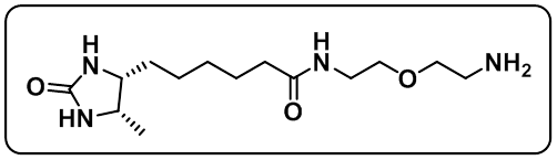 Desthiobiotin-PEG1-Amine
