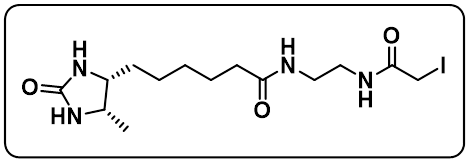 Desthiobiotin-Iodoacetamide