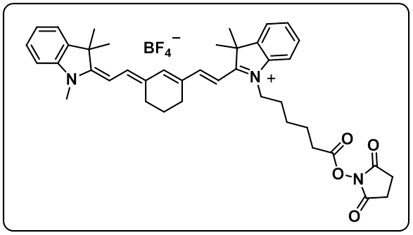 Cyanine7 NHS ester