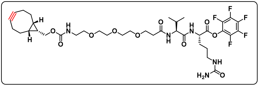 endo BCN-PEG3-VC-PFP Ester